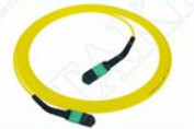 MTP-12 APC Γυναίκα προς MTP-12 APC Γυναίκα Μοναδικό μοντέλο OS2 Πλήρης OFNP Τύπος A MPO καλώδιο επικάλυψης