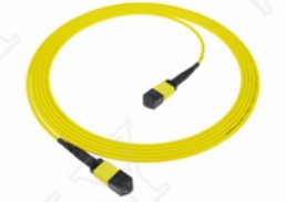 MTP-12 APC Γυναίκα προς MTP-12 APC Γυναίκα SingleMode OS2 Plenum OFNP Type A MPO Patch Cord 5m 16ft