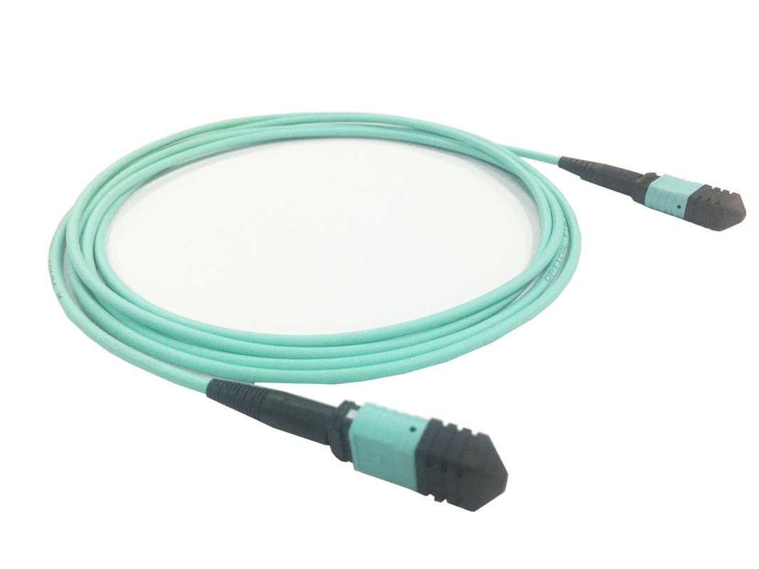 Ελίτ πολυμέτωπος OM3 50/125, Πλήρης OFNP τύπου Β MPO Patch Cord 3m 10ft MTP-12 PC Γυναίκα προς MTP-12 PC Γυναίκα