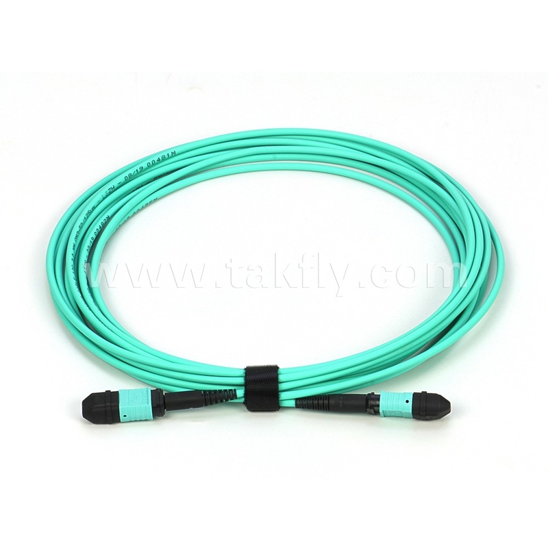 Ελίτ πολυμέτωπος OM3 50/125 Πλήρης OFNP τύπου Β MPO Patch Cord 30m 100ft MTP-12 PC Γυναίκα προς MTP-12 PC Γυναίκα