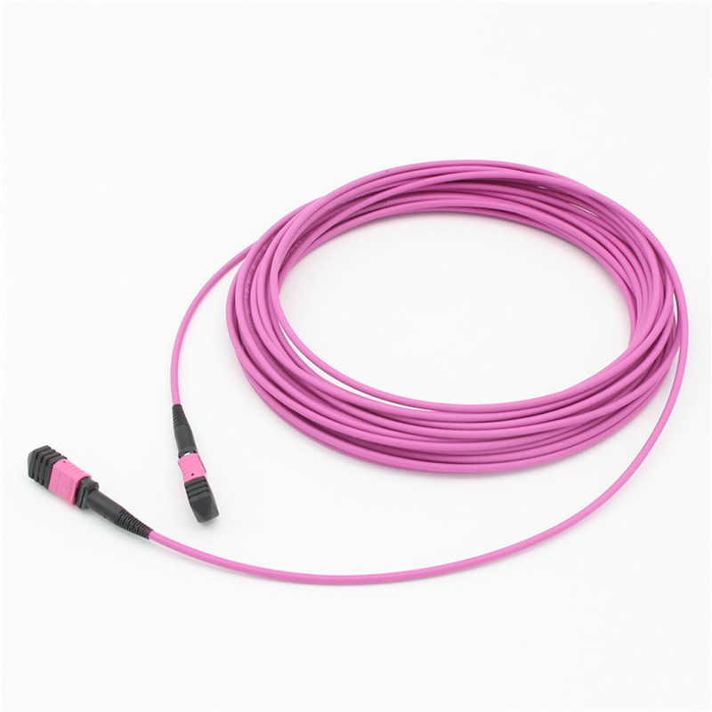 Elite Multimode OM4 50/125, Plenum OFNP Type B MPO patch cord 1m 3ft MTP-12 PC Γυναίκα σε MTP-12 PC Γυναίκα