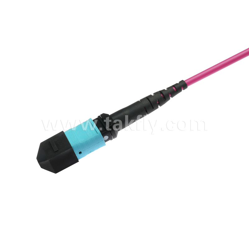 Elite Multimode OM4 50/125, Plenum OFNP Type B MPO patch cord 3m 10ft MTP-12 PC Γυναίκα σε MTP-12 PC Γυναίκα