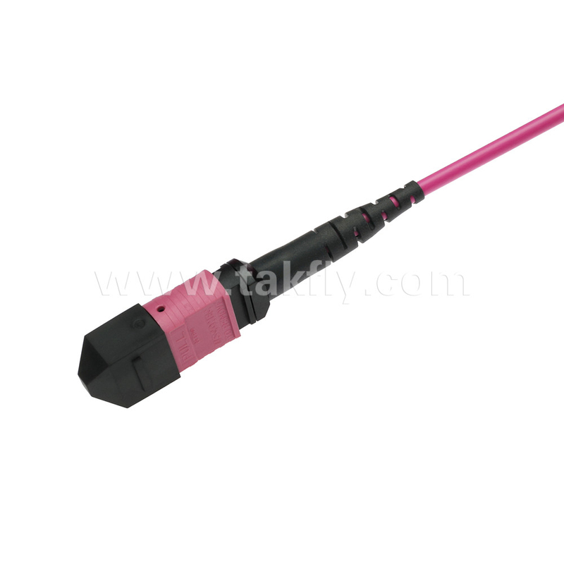 Ελίτ πολυμέτωπος OM4 50/125, Πλήρης OFNP τύπου Β MPO Patch Cord 5m 16ft MTP-12 PC Γυναίκα προς MTP-12 PC Γυναίκα