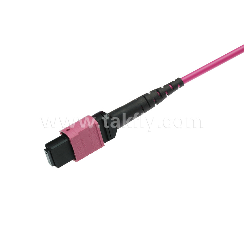 Ελίτ πολυμέτωπος OM4 50/125 Πλήρης OFNP τύπου Β MPO Patch Cord 3.0mm Καλώδιο 10m 33ft MTP-12 PC Γυναίκα σε MTP-12 PC Γυναίκα