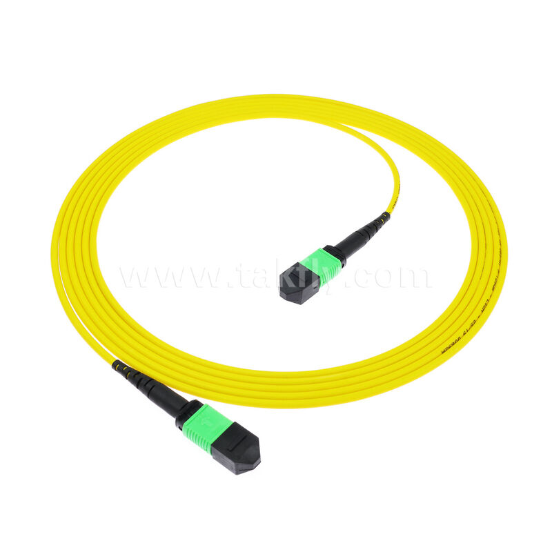 8F 12F 16F 24F MPO MTP αρσενικό θηλυκό SM OS2 G652D G657A1 G657A2 Fiber Optic Patchcord / Optical Fiber Patch Cable / Optical Breakout Cable / Optical Fiber Trunk Cable για κέντρα δεδομένων υψηλής πυκνότητας