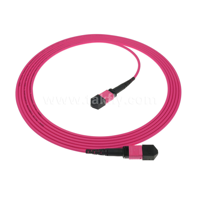 MPO MTP Αρσενικό Θηλυκό 8F 12F 16F 24F MM Πολυτροπική OM4 Fiber Optic Patchcord / Οπτικό Καλώδιο Patch / Οπτικό Καλώδιο Breakout / Οπτικό Καλώδιο Κορμού Οπτικών Ινών