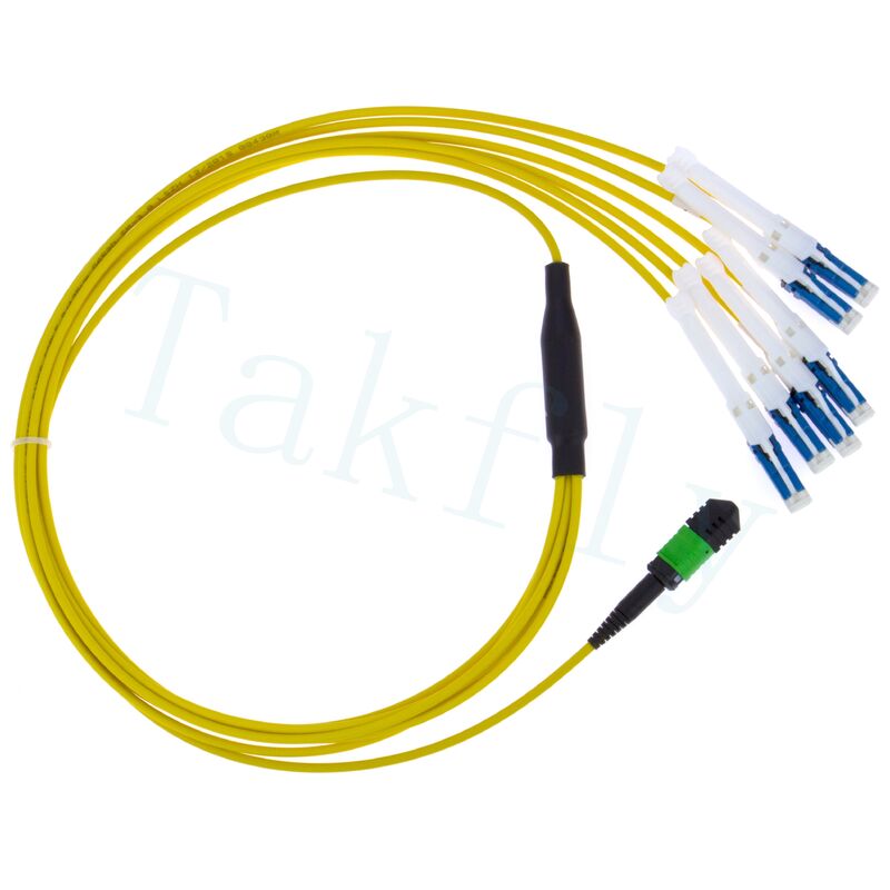 MPO σε CS Breakout Patch Cord – Λύση υψηλής πυκνότητας για διασυνδέσεις κέντρων δεδομένων 400G/800G