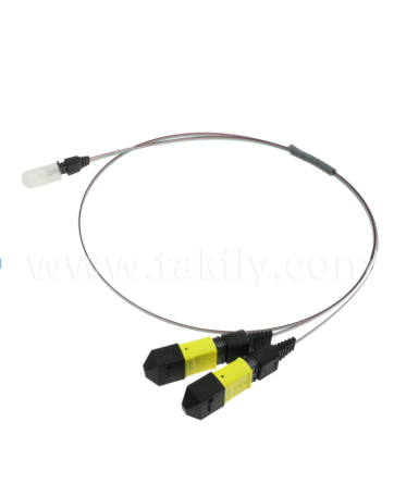 Συνδυασμός MTP-16CH-FA Fiber Array ∙ Συνδέσμος MTP σε 16-κανάλι V-Groove Fiber Array, χαμηλή απώλεια εισαγωγής, για υψηλής ταχύτητας οπτικούς δέκτες και εφαρμογές CPO/Data Center