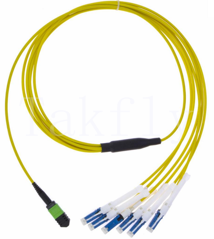 MPO σε CS Breakout Patch Cord