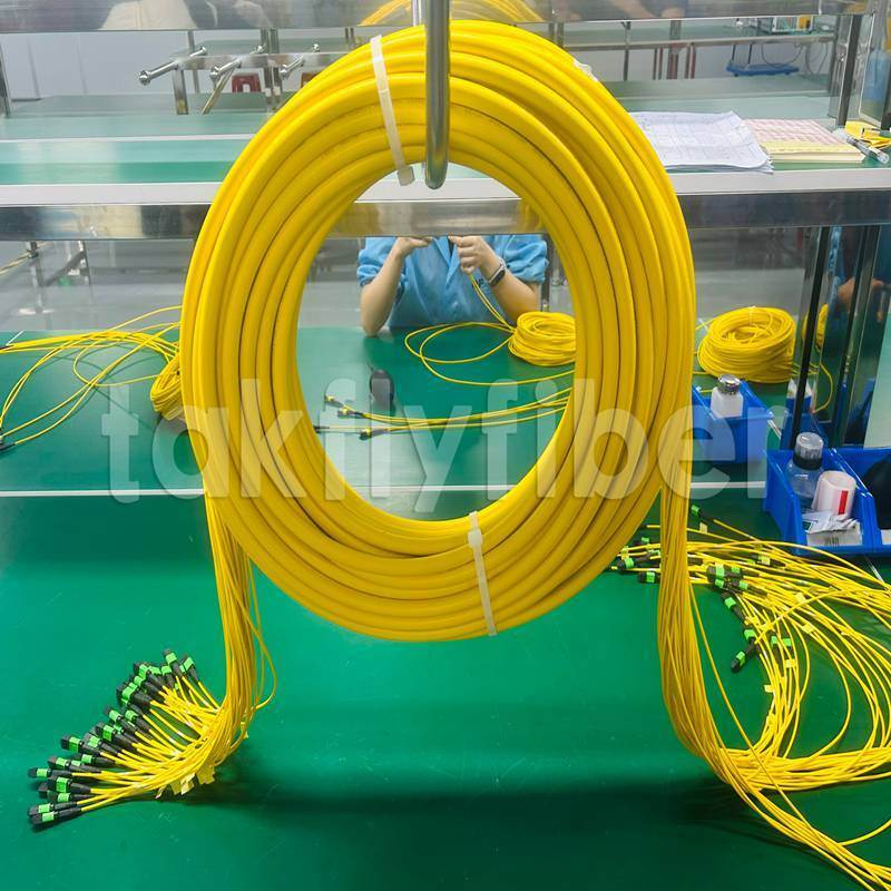 Takfly MPO/MTP Patch Cord 8/12/24 Κόρδοι έως 576 Κόρδοι Χαμηλή απώλεια 500 κύκλοι ζευγαρώματος Συμμόρφωση με την IEC & TIA