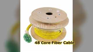 48 Core LC Fiber Patch Cable
